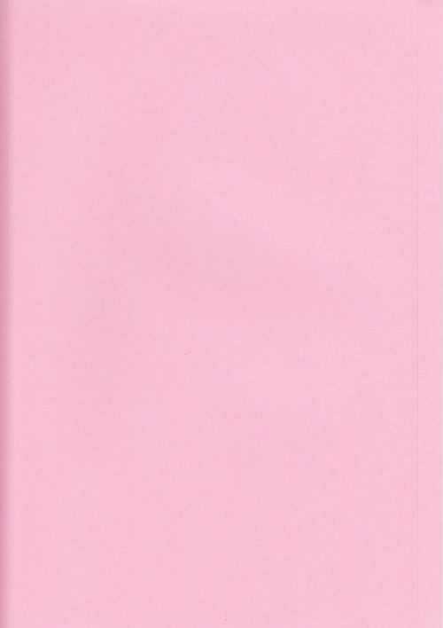 Bok: Innermapp A4 rosa